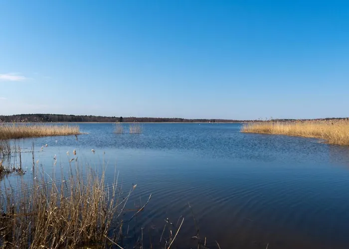 Tamula Sauna 54 * Выру